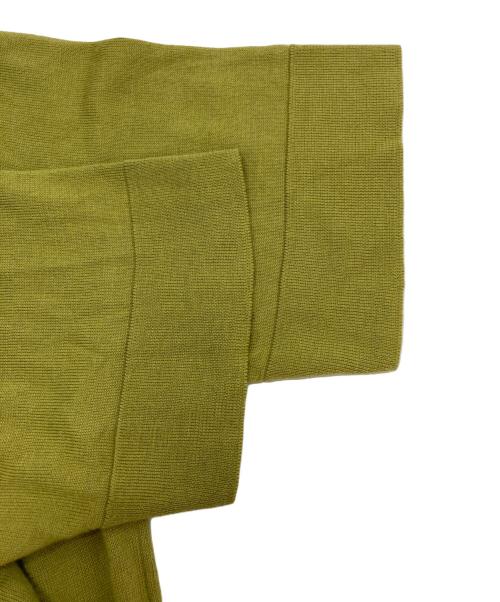 PT TORINO（ピーティートリノ）PT TORINO (ピーティートリノ) コットンシルクスキッパー半袖ニット グリーン サイズ:48の古着・服飾アイテム