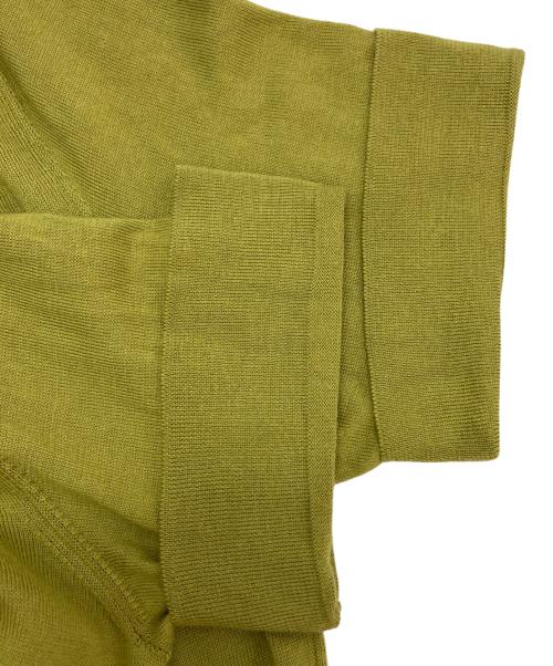 PT TORINO（ピーティートリノ）PT TORINO (ピーティートリノ) コットンシルクスキッパー半袖ニット グリーン サイズ:48の古着・服飾アイテム