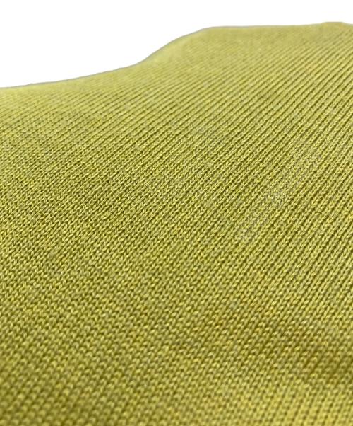 PT TORINO（ピーティートリノ）PT TORINO (ピーティートリノ) コットンシルクスキッパー半袖ニット グリーン サイズ:48の古着・服飾アイテム