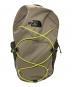 THE NORTH FACE（ザ ノース フェイス）の古着「JESTER」｜キャバングレー