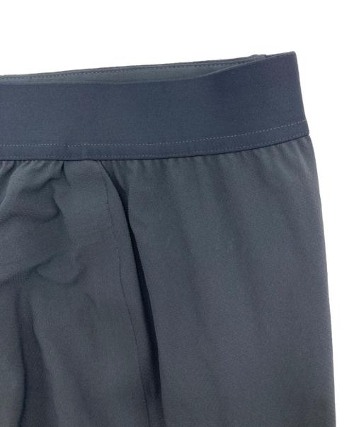 Patagonia（パタゴニア）Patagonia (パタゴニア) Altvia Light Alpine Pants ネイビー サイズ:32の古着・服飾アイテム