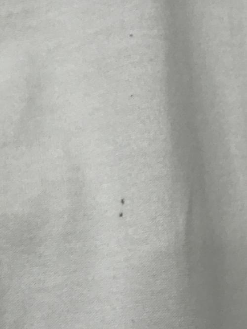 HERMES（エルメス）HERMES (エルメス) Tシャツ ホワイト サイズ:SIZE36の古着・服飾アイテム