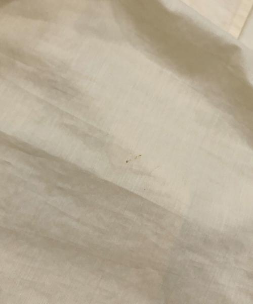 Plage（プラージュ）Plage (プラージュ) ナイロンシアーバンドカラーシャツ アイボリー サイズ:Mの古着・服飾アイテム