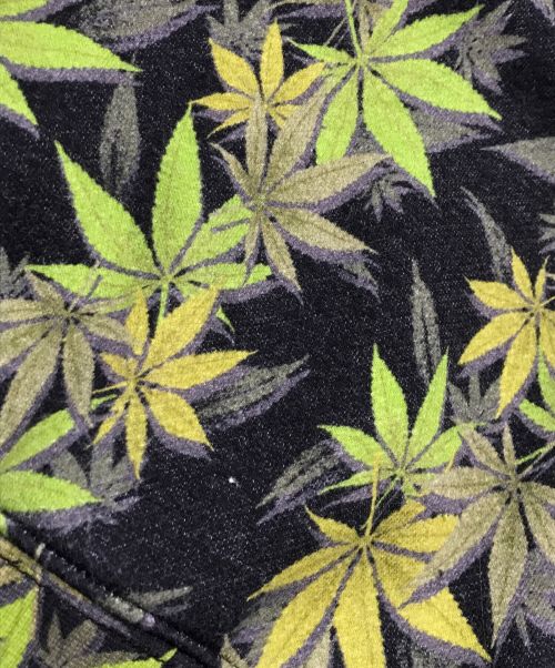 SUPREME（シュプリーム）SUPREME (シュプリーム) THE NORTH FACE (ザ ノース フェイス) Leaf Hooded P／O Sweat Shirt グリーン サイズ:Sの古着・服飾アイテム