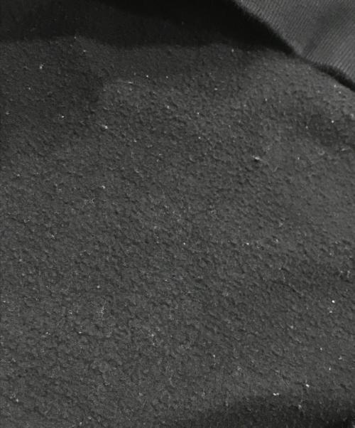 stussy（ステューシー）stussy (ステューシー) BASIC STUSSY HOOD ブラック サイズ:Lの古着・服飾アイテム