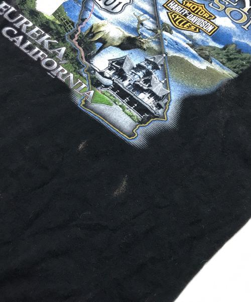 HARLEY-DAVIDSON（ハーレーダビッドソン）HARLEY-DAVIDSON (ハーレーダビッドソン) 両面プリントTシャツ ブラック サイズ:Lの古着・服飾アイテム
