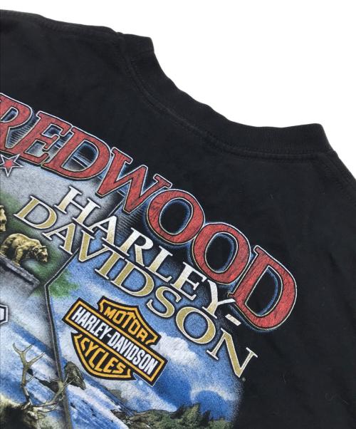 HARLEY-DAVIDSON（ハーレーダビッドソン）HARLEY-DAVIDSON (ハーレーダビッドソン) 両面プリントTシャツ ブラック サイズ:Lの古着・服飾アイテム