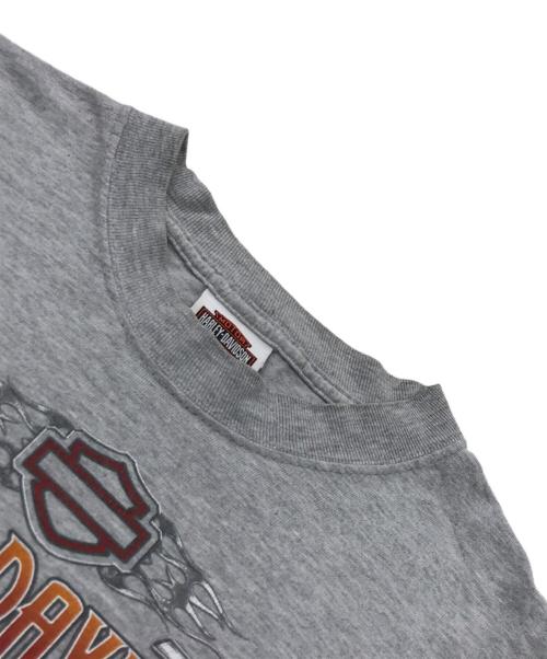 HARLEY-DAVIDSON（ハーレーダビッドソン）HARLEY-DAVIDSON (ハーレーダビッドソン) ファイヤーパターンカットソー グレー サイズ:Mの古着・服飾アイテム