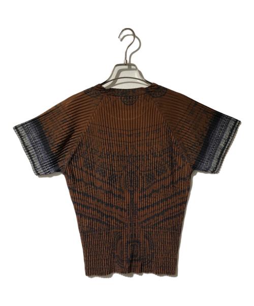 ISSEY MIYAKE（イッセイミヤケ）ISSEY MIYAKE (イッセイミヤケ) 総柄プリーツカットソー ブルー×ブラウン サイズ:Lの古着・服飾アイテム