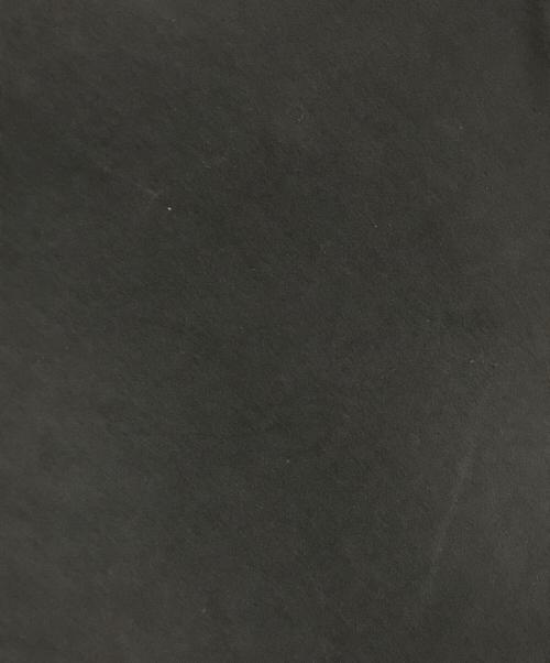 GOD SELECTION XXX（ゴッドセレクショントリプルエックス）GOD SELECTION XXX (ゴッドセレクショントリプルエックス) 2PAC TEE ブラック サイズ:Lの古着・服飾アイテム