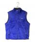 Patagonia（パタゴニア）の古着「フリースベスト」｜ブルー