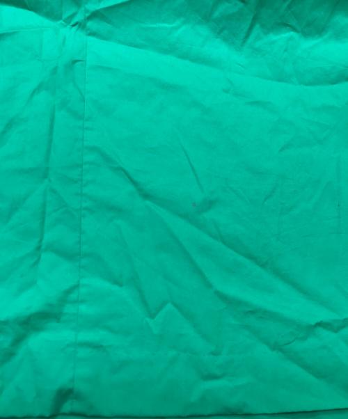 TOMORROW LAND collection（トゥモローランドコレクション）TOMORROW LAND collection (トゥモローランドコレクション) ドッピオタイプライター バックリボンワンピース グリーン サイズ:36の古着・服飾アイテム