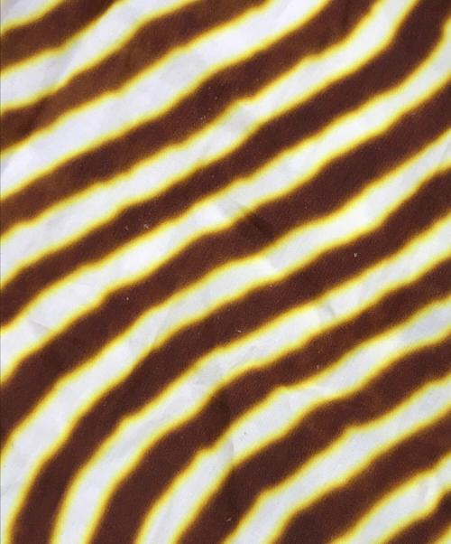 DRIES VAN NOTEN（ドリスヴァンノッテン）DRIES VAN NOTEN (ドリスヴァンノッテン) グラフィックスカート イエロー サイズ:38の古着・服飾アイテム