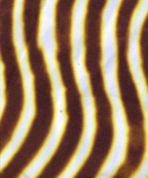 DRIES VAN NOTEN（ドリスヴァンノッテン）DRIES VAN NOTEN (ドリスヴァンノッテン) グラフィックスカート イエロー サイズ:38の古着・服飾アイテム