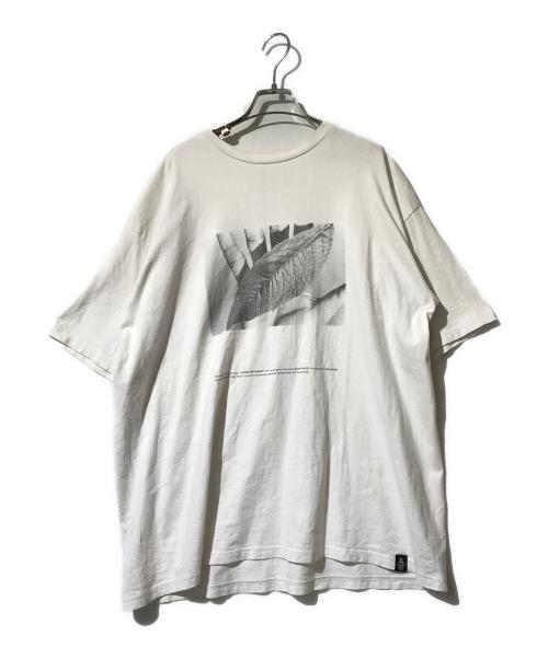 Graphpaper（グラフペーパー）Graphpaper (グラフペーパー) プリントカットソー ホワイト サイズ:Fの古着・服飾アイテム