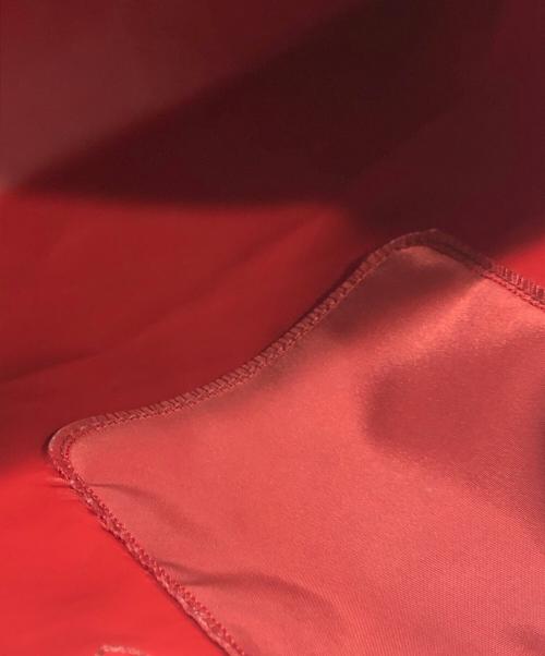 LONGCHAMP（ロンシャン）LONGCHAMP (ロンシャン) ハンドバッグ レッドの古着・服飾アイテム