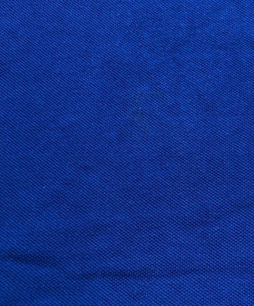 stussy（ステューシー）stussy (ステューシー) ポロシャツ ブルー サイズ:Mの古着・服飾アイテム