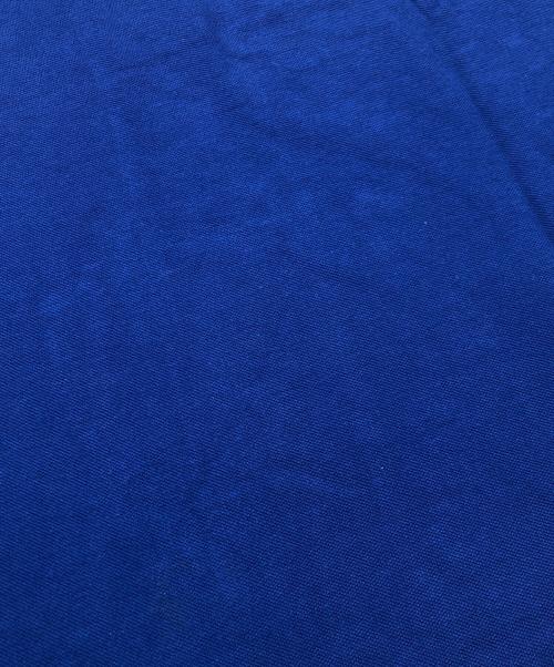 stussy（ステューシー）stussy (ステューシー) ポロシャツ ブルー サイズ:Mの古着・服飾アイテム