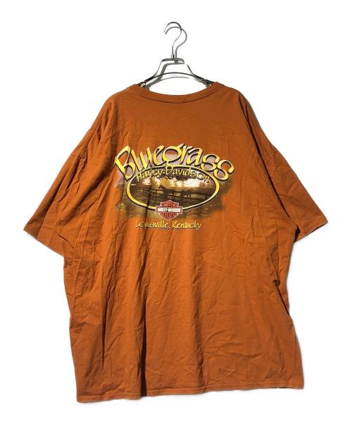 HARLEY-DAVIDSON（ハーレーダビッドソン）HARLEY-DAVIDSON (ハーレーダビッドソン) プリントTシャツ ブラウン サイズ:3XLの古着・服飾アイテム