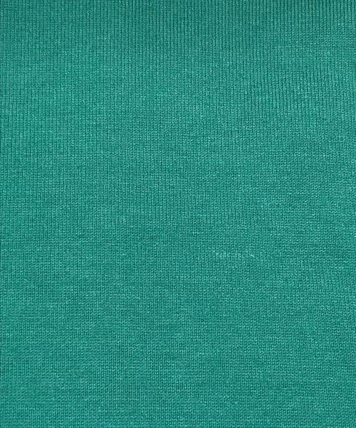 LOUIS VUITTON（ルイ ヴィトン）LOUIS VUITTON (ルイ ヴィトン) モノグラムグラディエントTシャツ グリーン サイズ:Lの古着・服飾アイテム