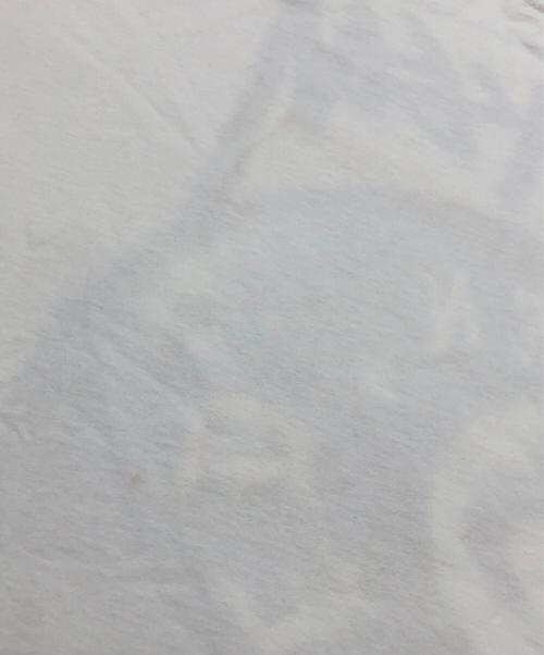 stussy（ステューシー）stussy (ステューシー) BORN X RAISED (ボーン レイズド) 8 BALL TEE ホワイト サイズ:XXLの古着・服飾アイテム