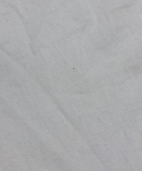 stussy（ステューシー）stussy (ステューシー) BORN X RAISED (ボーン レイズド) 8 BALL TEE ホワイト サイズ:XXLの古着・服飾アイテム