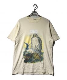 KITH（キス）の古着「Amnh Falcon Vintage Tee」｜イエロー