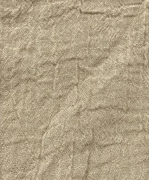 LES ATELIERS FRANCAIS DE CONFECTION（ル アトリエフランセ デ コンフェクション）LES ATELIERS FRANCAIS DE CONFECTION (ル アトリエフランセ デ コンフェクション) IENA (イエナ) ロングスリーブトップス／シースルートップス ブラウン サイズ:TUの古着・服飾アイテム