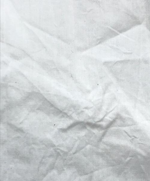 BEARDSLEY（ビアズリー）BEARDSLEY (ビアズリー) ギャザーワンピース／シャツワンピース ホワイトの古着・服飾アイテム