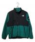THE NORTH FACE（ザ ノース フェイス）の古着「デナリジャケット」｜ブラック×グリーン
