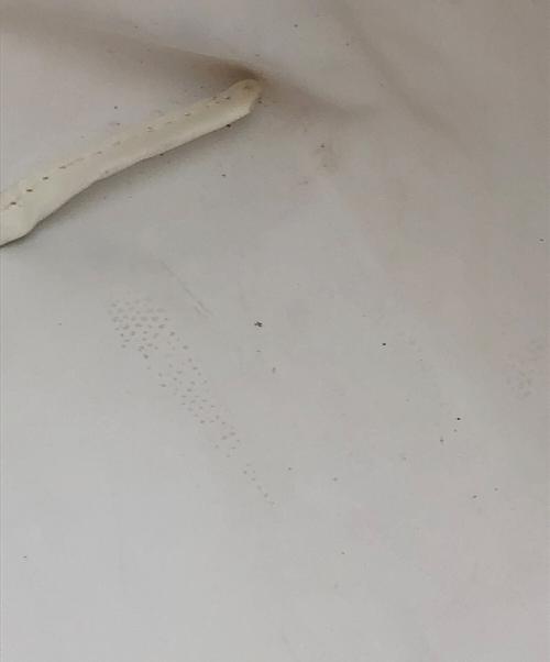 LONGCHAMP（ロンシャン）LONGCHAMP (ロンシャン) バッグ ブラウンの古着・服飾アイテム