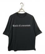 MARMOT×city country cityマーモット×シティーカントリーシティー）の古着「Everywhere Tシャツ」｜ブラック