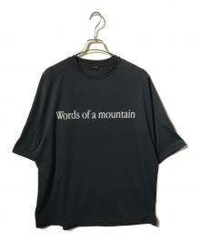 MARMOT×city country city（マーモット×シティーカントリーシティー）の古着「Everywhere Tシャツ」｜ブラック