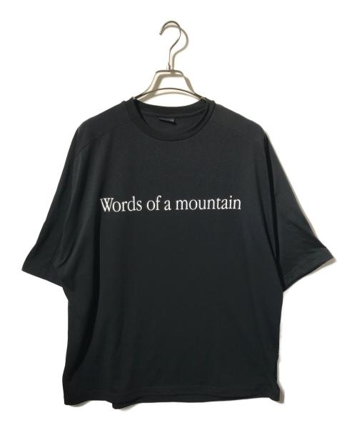 MARMOT（マーモット）Marmot (マーモット) City Country City (シティーカントリーシティー) Everywhere Tシャツ ブラック サイズ:XLの古着・服飾アイテム