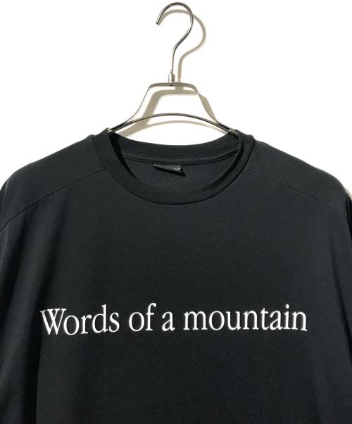 MARMOT（マーモット）Marmot (マーモット) City Country City (シティーカントリーシティー) Everywhere Tシャツ ブラック サイズ:XLの古着・服飾アイテム