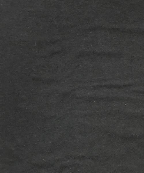 stussy（ステューシー）stussy (ステューシー) プリントTシャツ/ロゴTシャツ ブラック サイズ:MEDIUMの古着・服飾アイテム