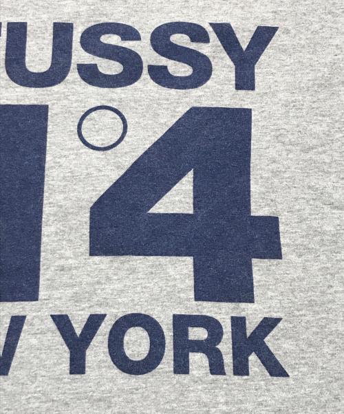 stussy（ステューシー）stussy (ステューシー) プリントTシャツ/ロゴTシャツ グレー サイズ:MEDIUMの古着・服飾アイテム
