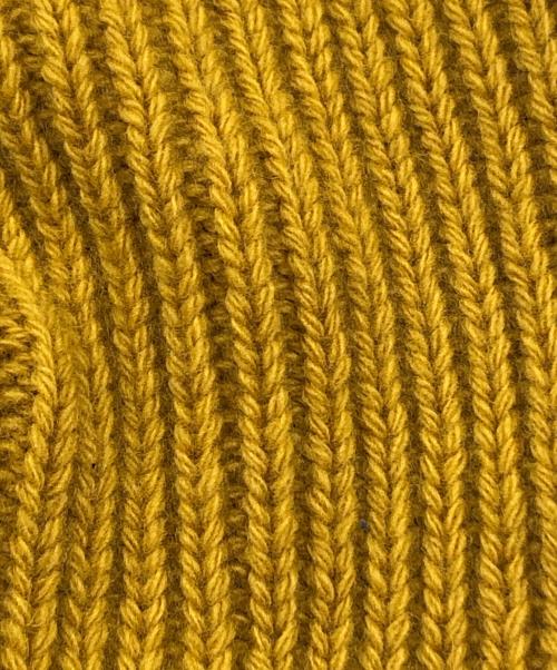 MONCLER GENIUS（モンクレール ジーニアス）MONCLER GENIUS (モンクレール ジーニアス) Palm Angels (パーム エンジェルス) ロゴワッペンビーニー イエローの古着・服飾アイテム