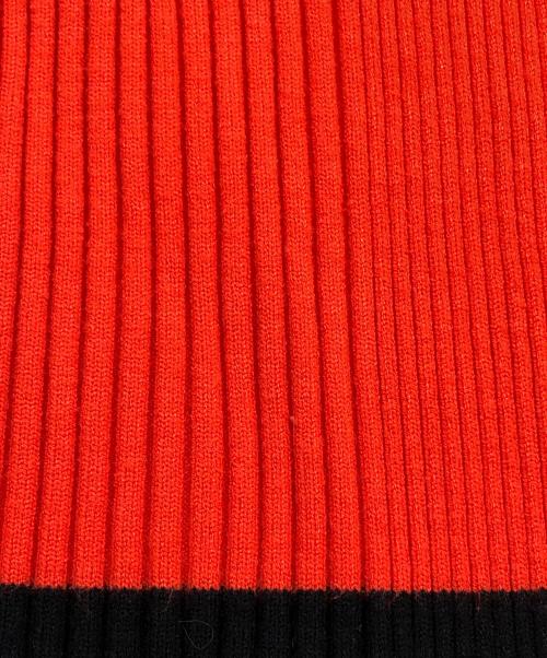 AULA AILA（アウラアイラ）AULA AILA (アウラアイラ) ボーダースリーブリブニット マルチカラーの古着・服飾アイテム