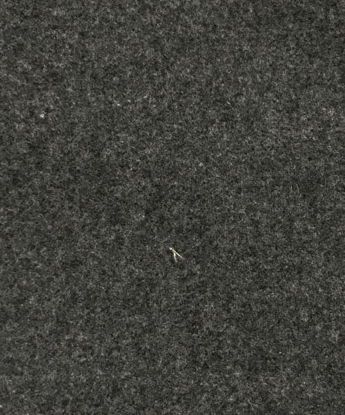 edition（エディション）Edition (エディション) ウールメルトン1ホックコート グレー サイズ:Fの古着・服飾アイテム