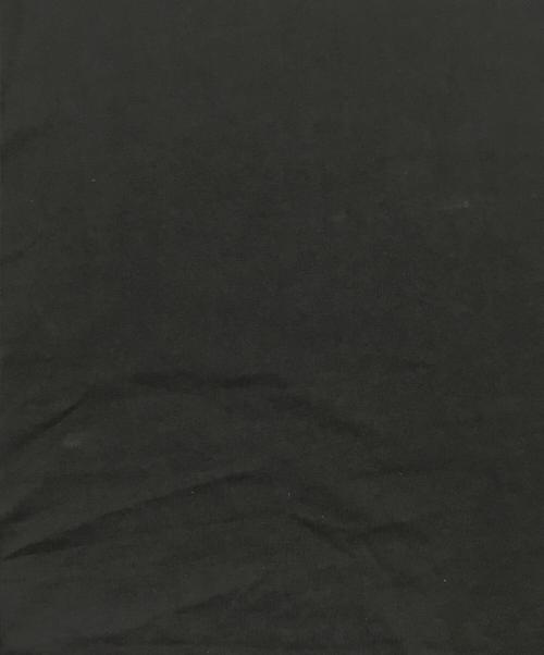 DIESEL（ディーゼル）DIESEL (ディーゼル) T-BOXT-DIV Tシャツ/クルーネック半袖Tシャツ ブラック サイズ:Lの古着・服飾アイテム