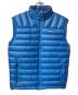 Patagonia（パタゴニア）の古着「ダウンセーターベスト」｜ブルー