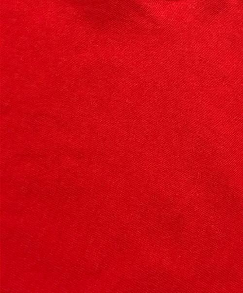 Champion（チャンピオン）Champion (チャンピオン) リバースウィーブスウェット レッド サイズ:XLの古着・服飾アイテム