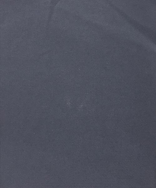 Patagonia（パタゴニア）Patagonia (パタゴニア) テラヴィア・トレイル・パンツ/ストレッチパンツ ネイビー サイズ:32の古着・服飾アイテム