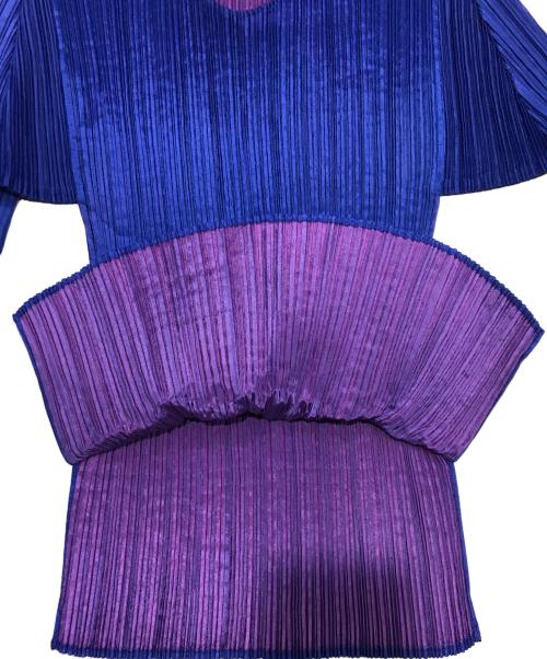 PLEATS PLEASE（プリーツプリーズ）PLEATS PLEASE (プリーツプリーズ) プリーツカットソー/長袖カットソー ブルー×パープル サイズ:4の古着・服飾アイテム