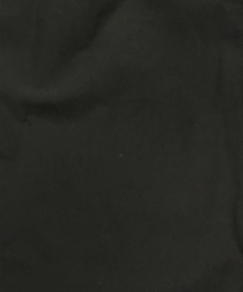 CREDONA（クレドナ）CREDONA (クレドナ) ハイネックブラウス/2WAYデザイン ブラック サイズ:Fの古着・服飾アイテム