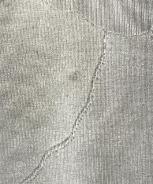 doublet（ダブレット）doublet (ダブレット) プリントTシャツ ホワイト サイズ:Ｌの古着・服飾アイテム