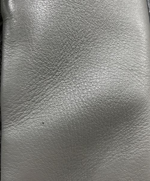 COACH（コーチ）COACH (コーチ) ウエストバッグ グレーの古着・服飾アイテム