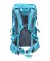 THE NORTH FACE (ザ ノース フェイス) リュック/バックパック ブルー：6000円