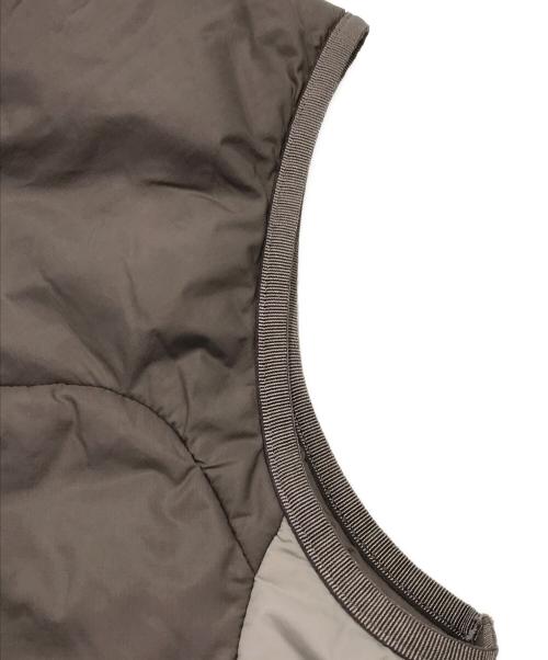 ACG（エーシージー）ACG (エーシージー) TFADV ROP DE DOP VEST ブラウン サイズ:Mの古着・服飾アイテム